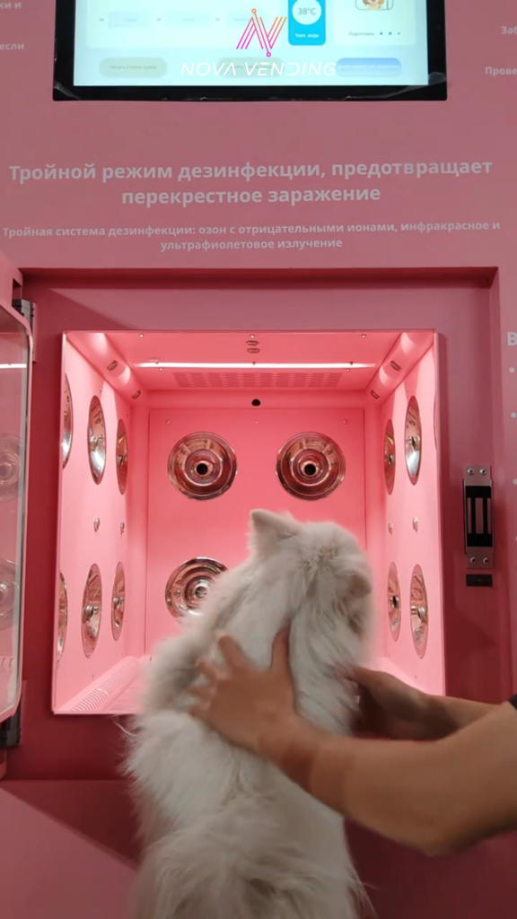 hite fluffy dog being guided into a NOVA self-service pet wash station with a pink cleaning chamber
